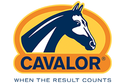 CAVALOR