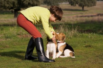 Breeches Model Country