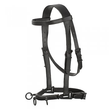 Lunge cavenson Halter HH Leather Lined