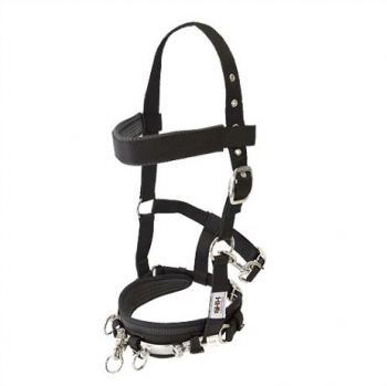 Lunge Cavenson Halter HH Nylon Padded