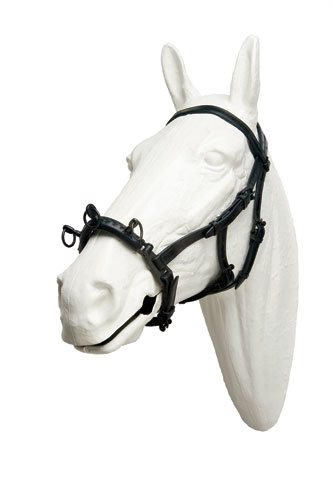 Leatger Lungeing Halter With 3 Rings and Double Throatlacth