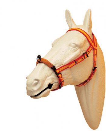 Nylon Lungeing Halter With 1 Ring and Troatlatch