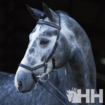 Rédeas Rambo Micklem Multibridle