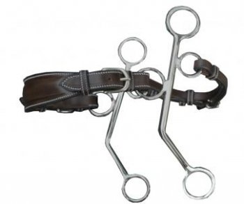 Hackamore with Leather Strap