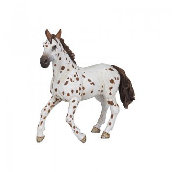 PAPO Égua Appaloosa 