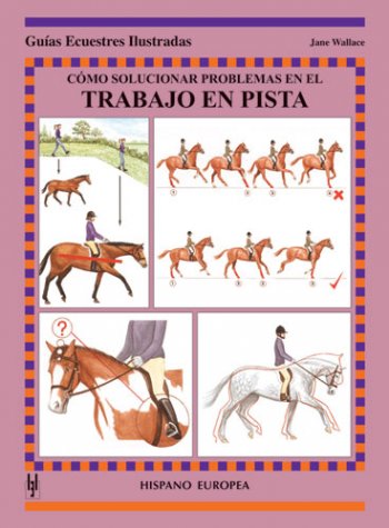 "CÓMO SOLUCIONAR PROBLEMAS EN EL TRABAJO EN PISTA"