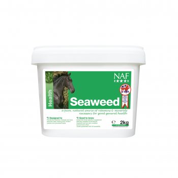 Seaweed